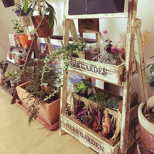 sadaさんの実例写真