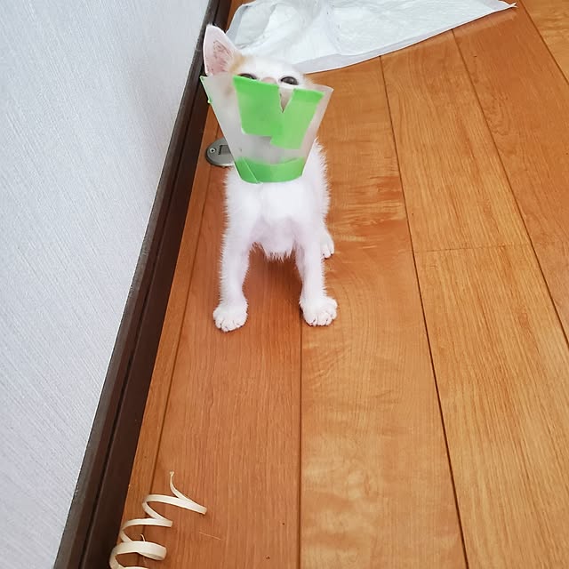 kanaさんの部屋