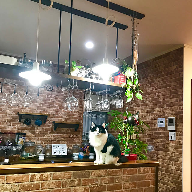 butachanさんの実例写真