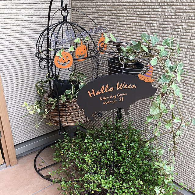 papirinさんの実例写真