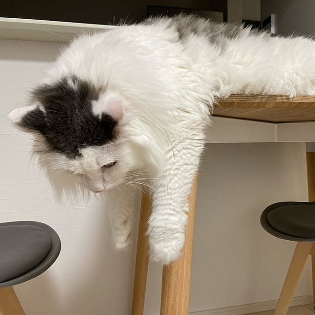 aiさんの実例写真