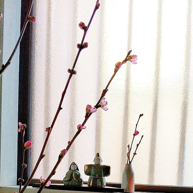 Renさんの実例写真