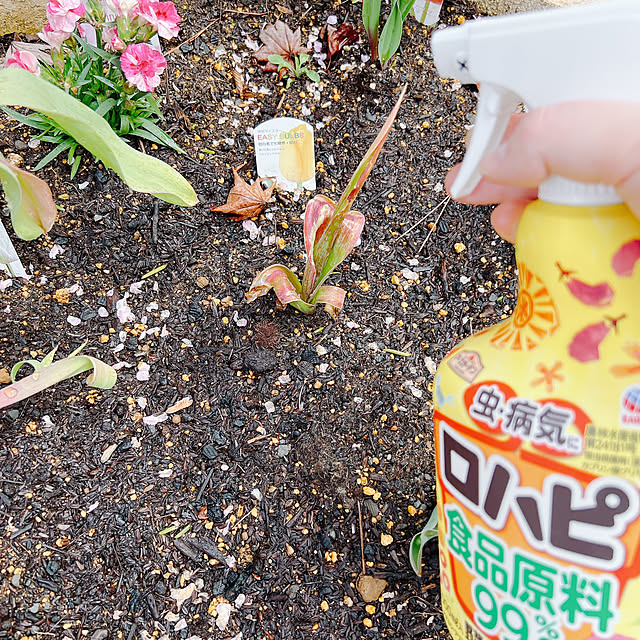 chanduさんの部屋