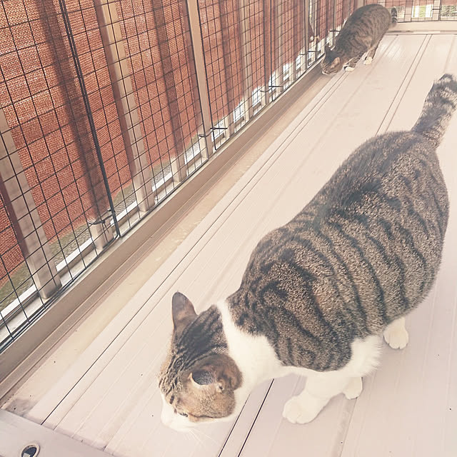 nachiさんの実例写真