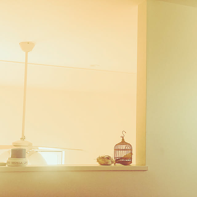 jellyfish.backboneさんの実例写真