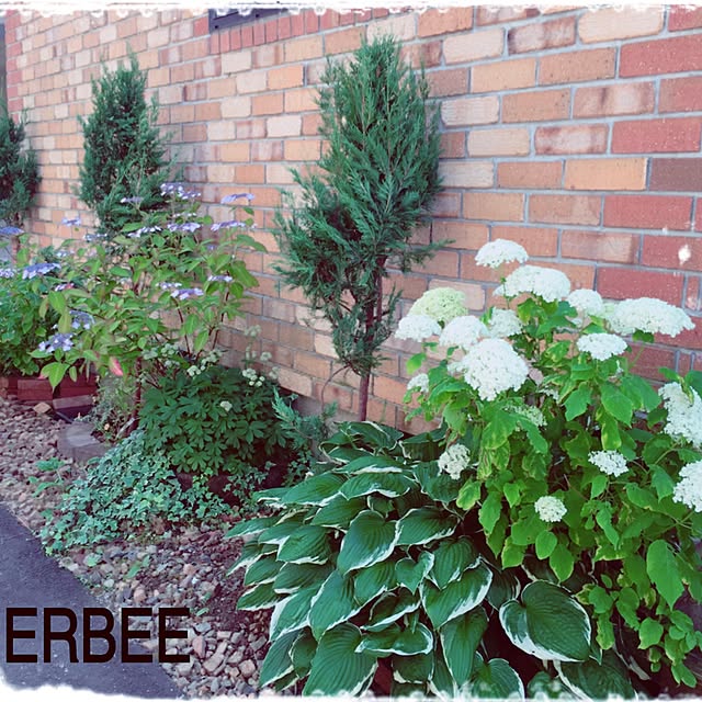 HERBEEさんの実例写真