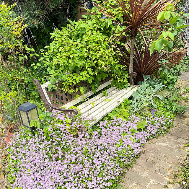 mintteaさんの実例写真