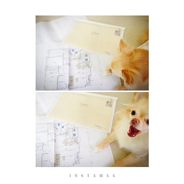 mariさんの実例写真
