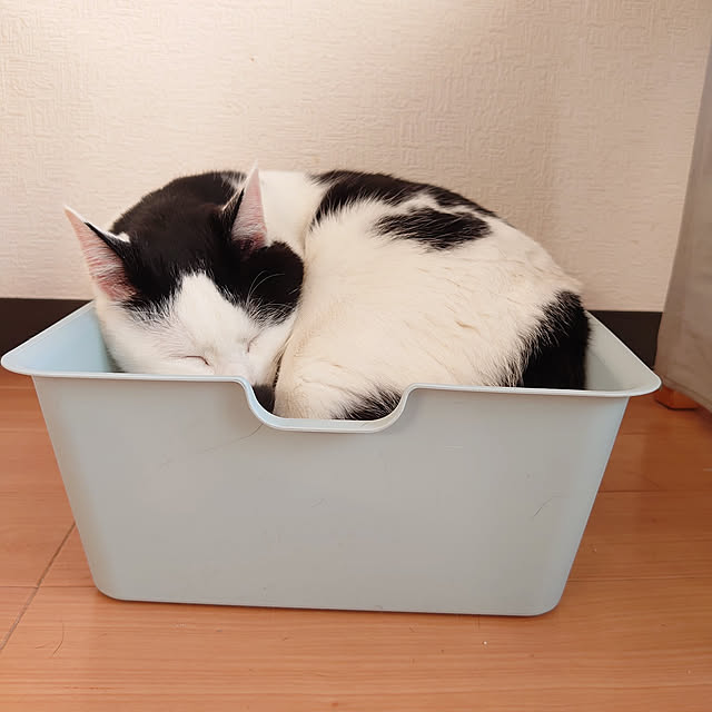 mannaさんの実例写真