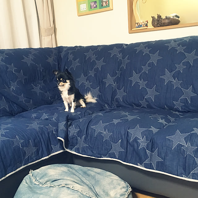 eriさんの実例写真