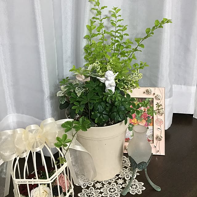 mayuroseさんの実例写真