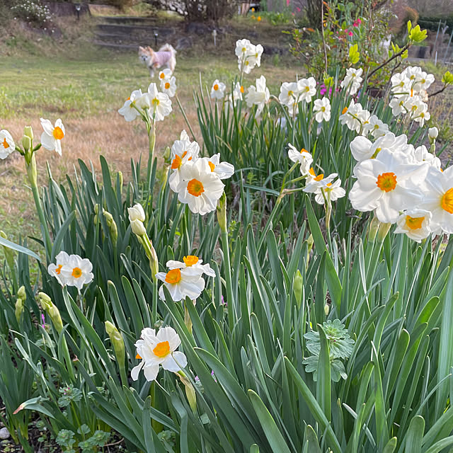 natsumiさんの部屋
