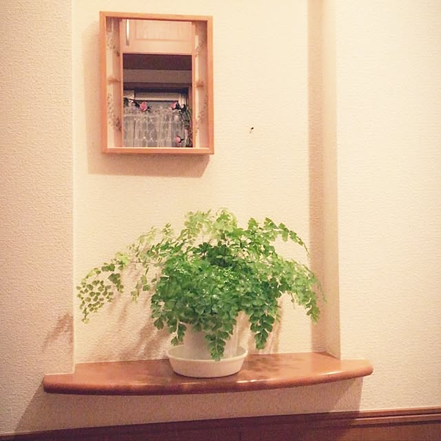 emiさんの実例写真