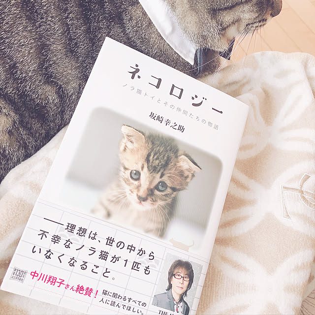 beemer2さんの実例写真