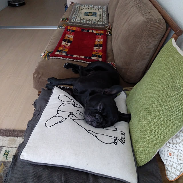 nicomaruさんの実例写真