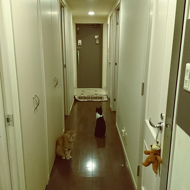 okyosan101さんの実例写真