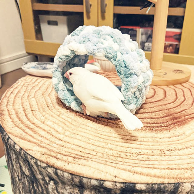sumireさんの実例写真