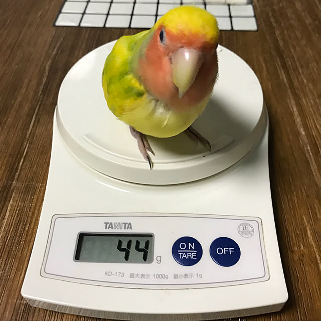 keinagen91さんの実例写真