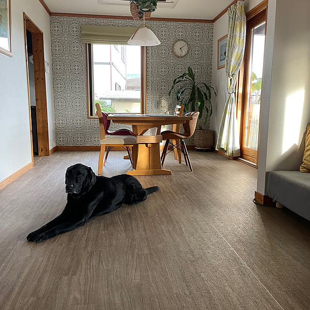 toragenmamさんの部屋