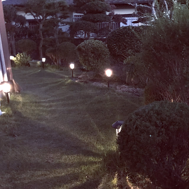 Takenoyaさんの実例写真