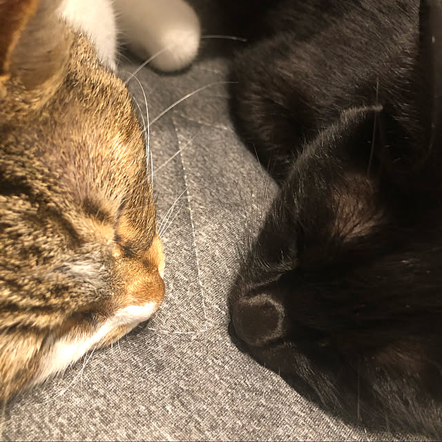 hiroさんの実例写真