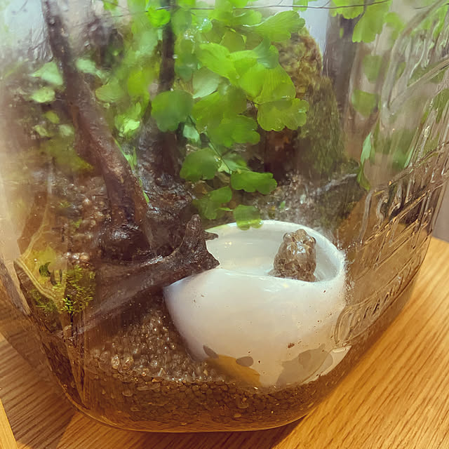 aohanaさんの実例写真