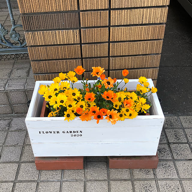 maron915さんの実例写真