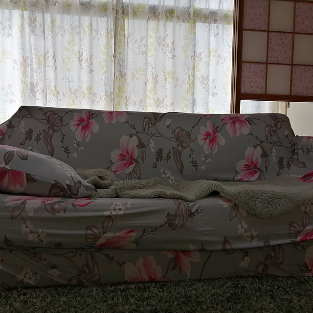 harutai5558さんの実例写真