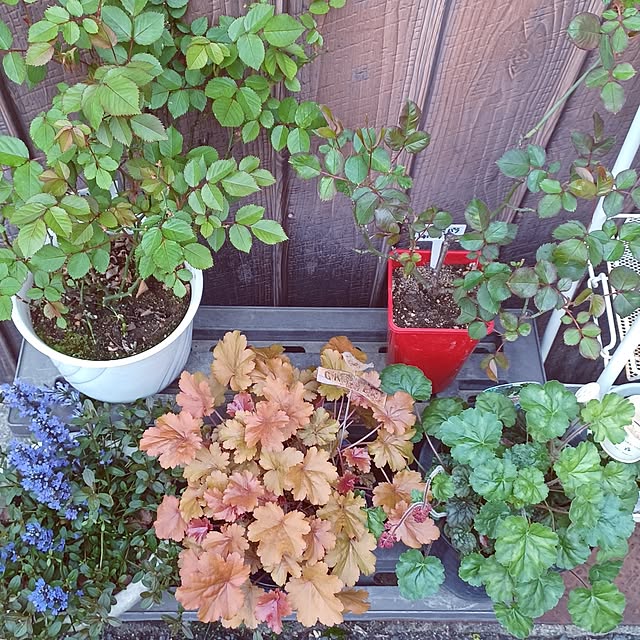 hiro.904さんの部屋