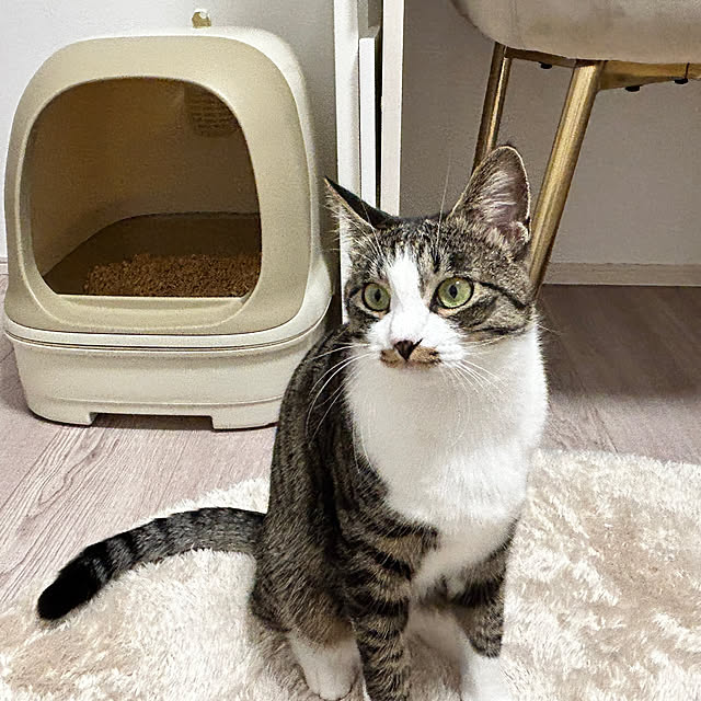 mocaさんの実例写真