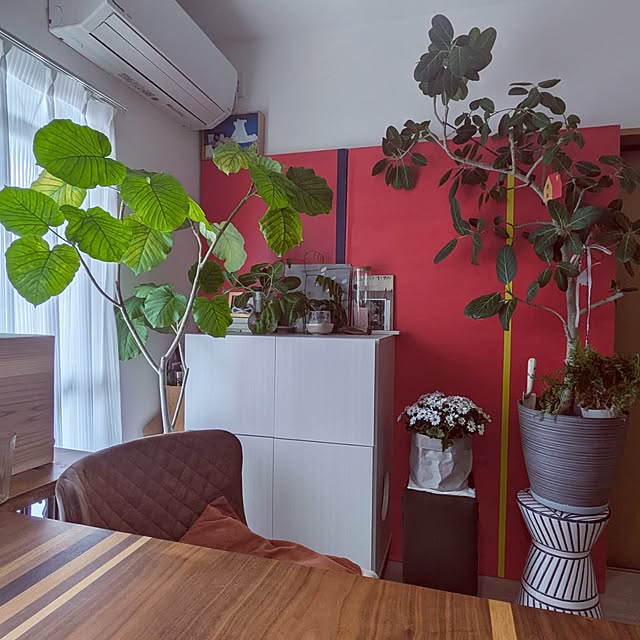 atarasiioutiさんの実例写真