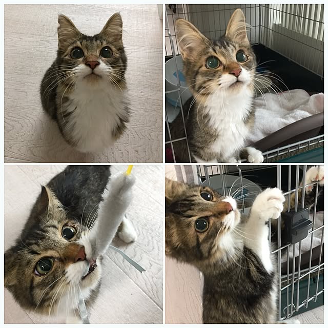 yuchiさんの実例写真