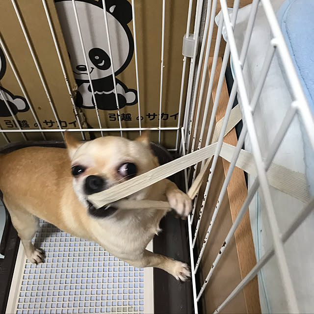 nacchintunnさんの実例写真
