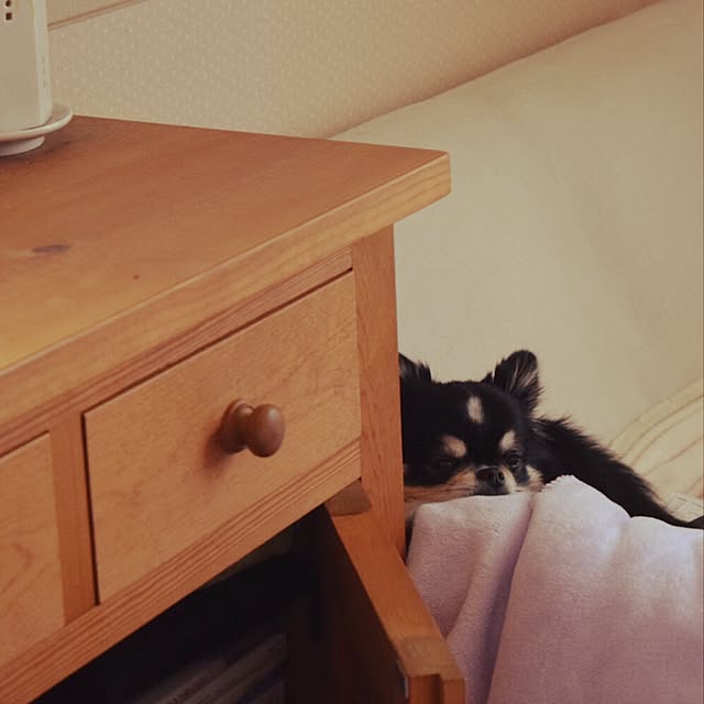 Rie.uさんの実例写真