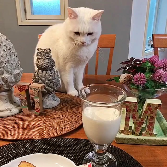 nyanko-beamさんの実例写真