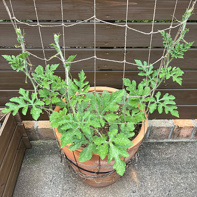 kuuさんの部屋