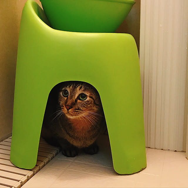 pepeさんの実例写真
