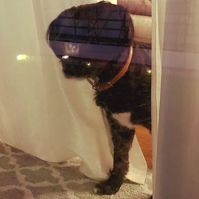 tomoさんの部屋