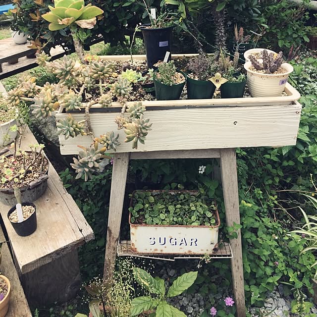 coraruさんの実例写真