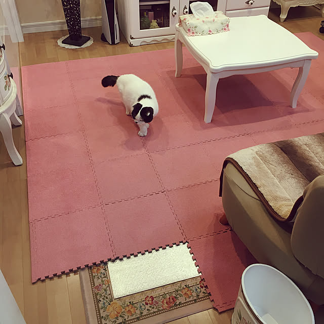 pinaminさんの実例写真