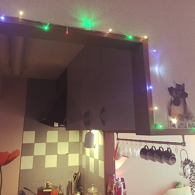 kanaさんの実例写真