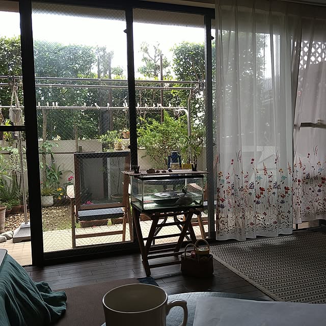 okyosan101さんの実例写真