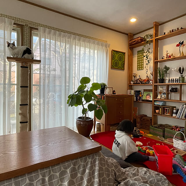 nobikoさんの部屋