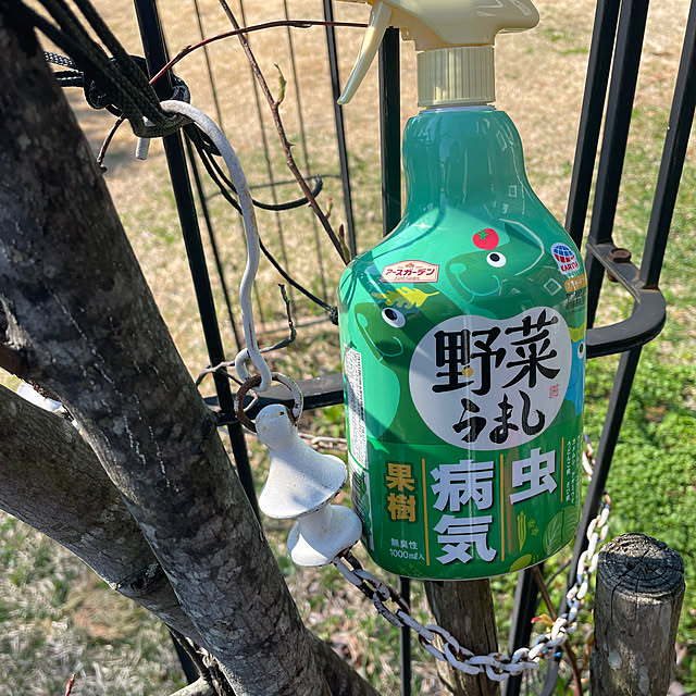 nattunさんの部屋