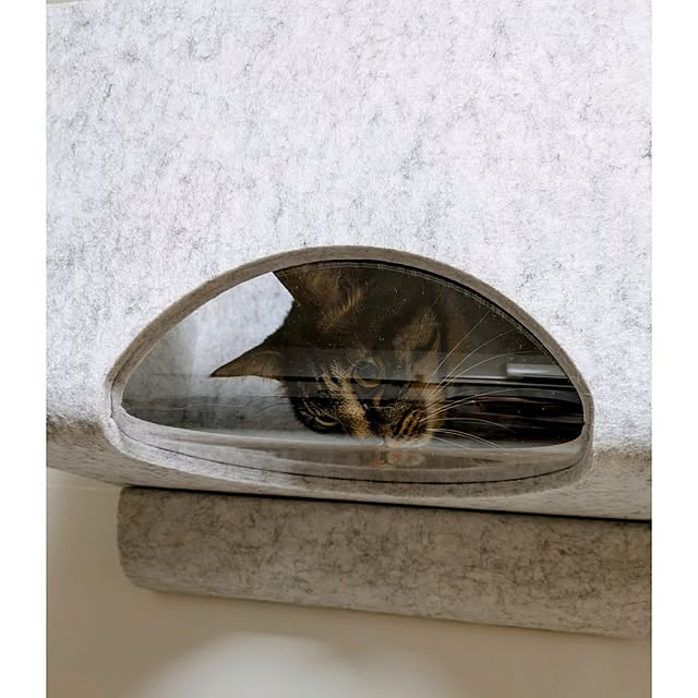 hihaさんの部屋