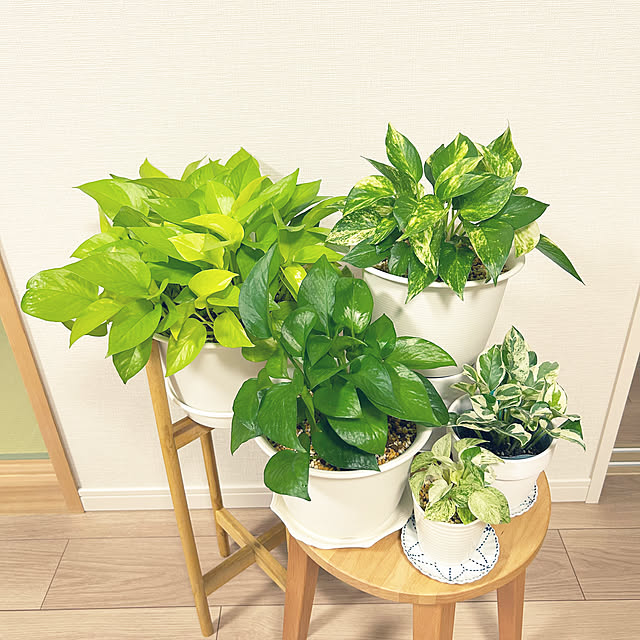 yoyoyoさんの部屋