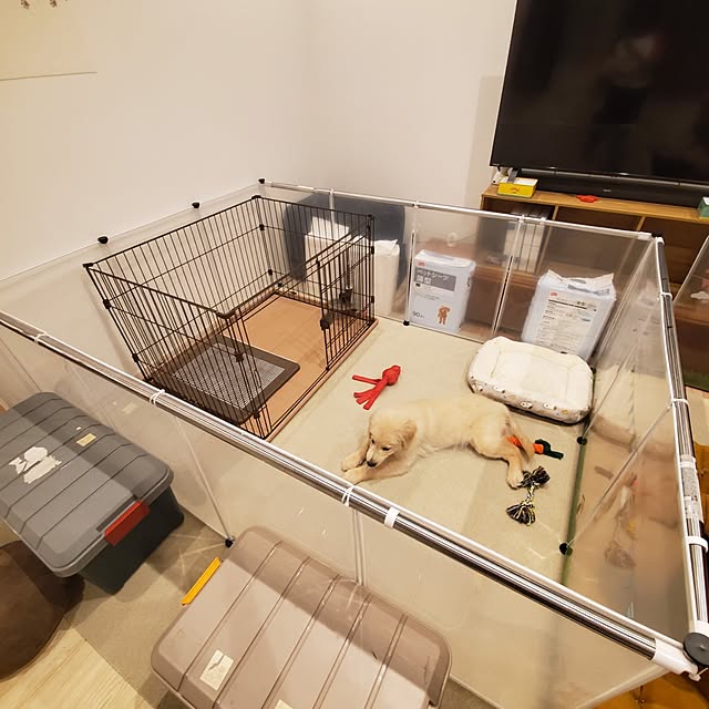 mogさんの実例写真