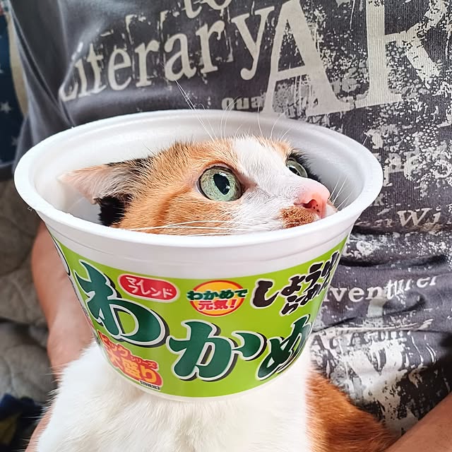 nanaさんの部屋