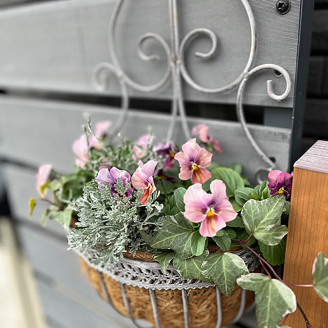 negichanさんの部屋