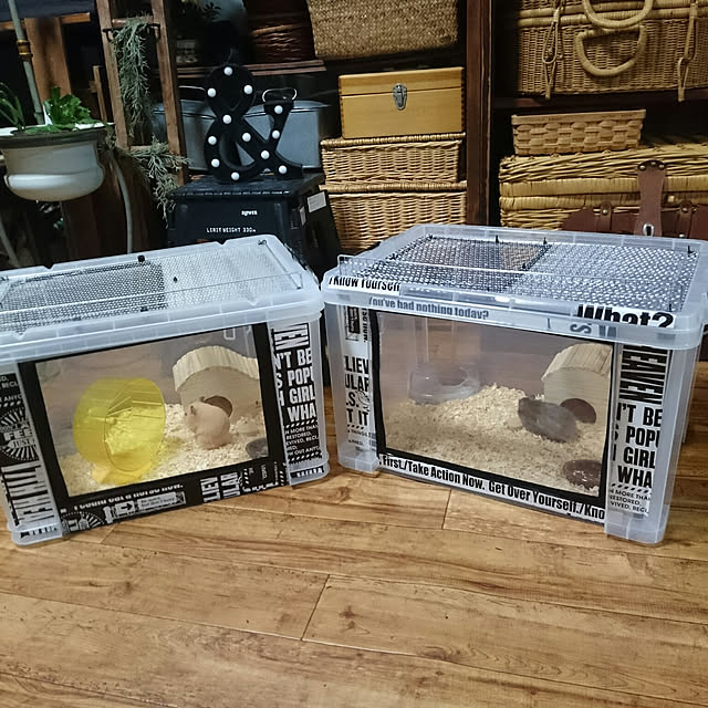 tikuwaさんの実例写真